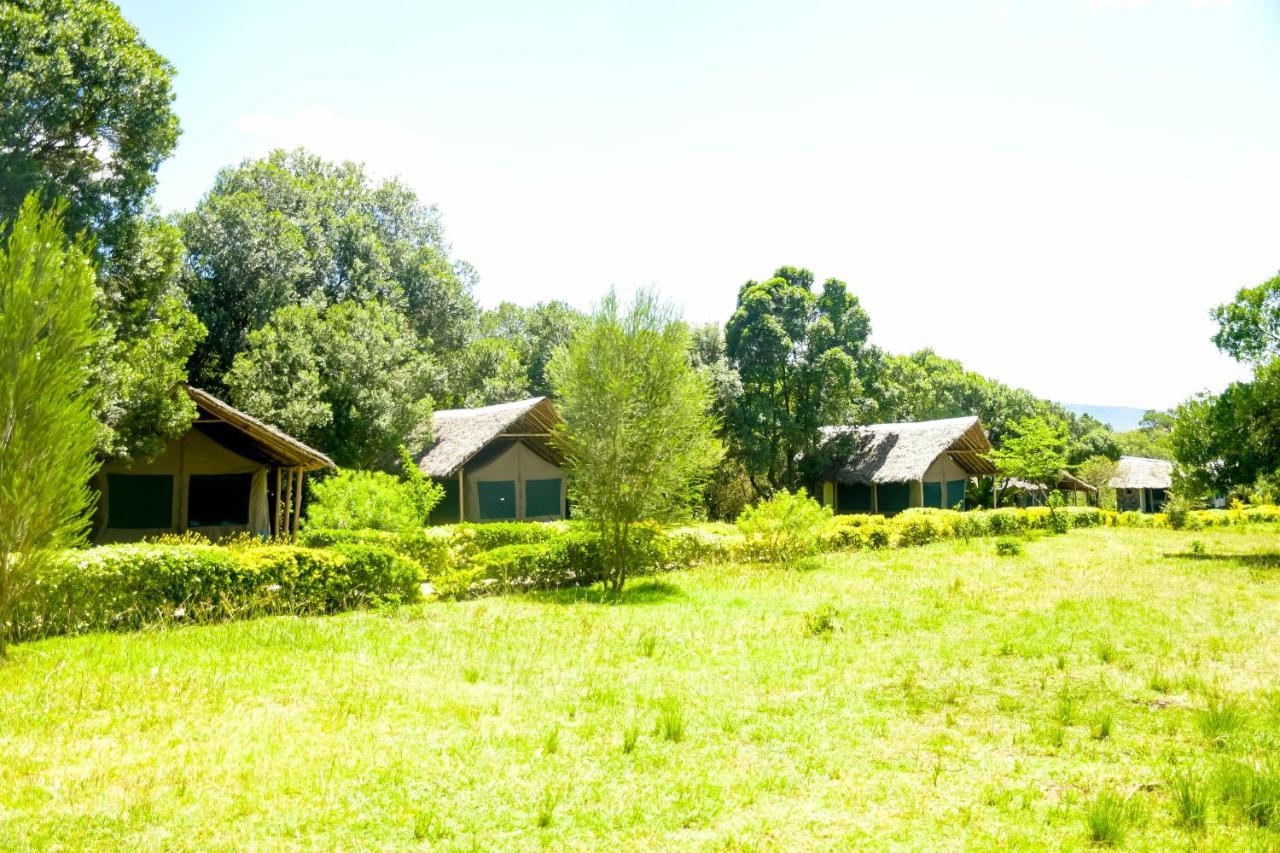 Hotel Giraffe Hills Mara Camp à Réserve nationale du Masai Mara Extérieur photo