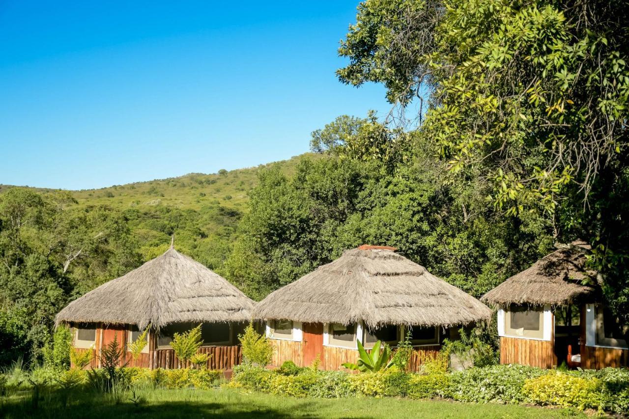 Hotel Giraffe Hills Mara Camp à Réserve nationale du Masai Mara Extérieur photo