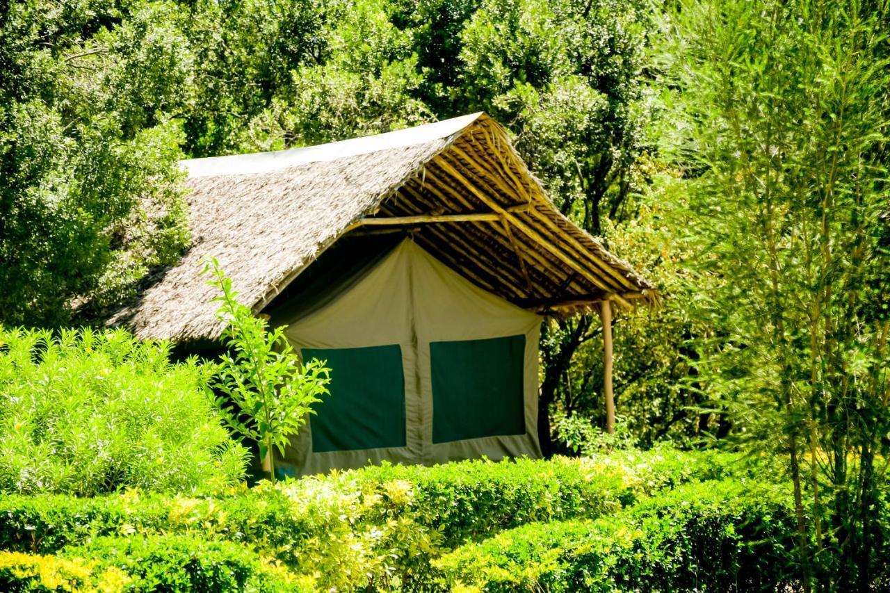 Hotel Giraffe Hills Mara Camp à Réserve nationale du Masai Mara Extérieur photo