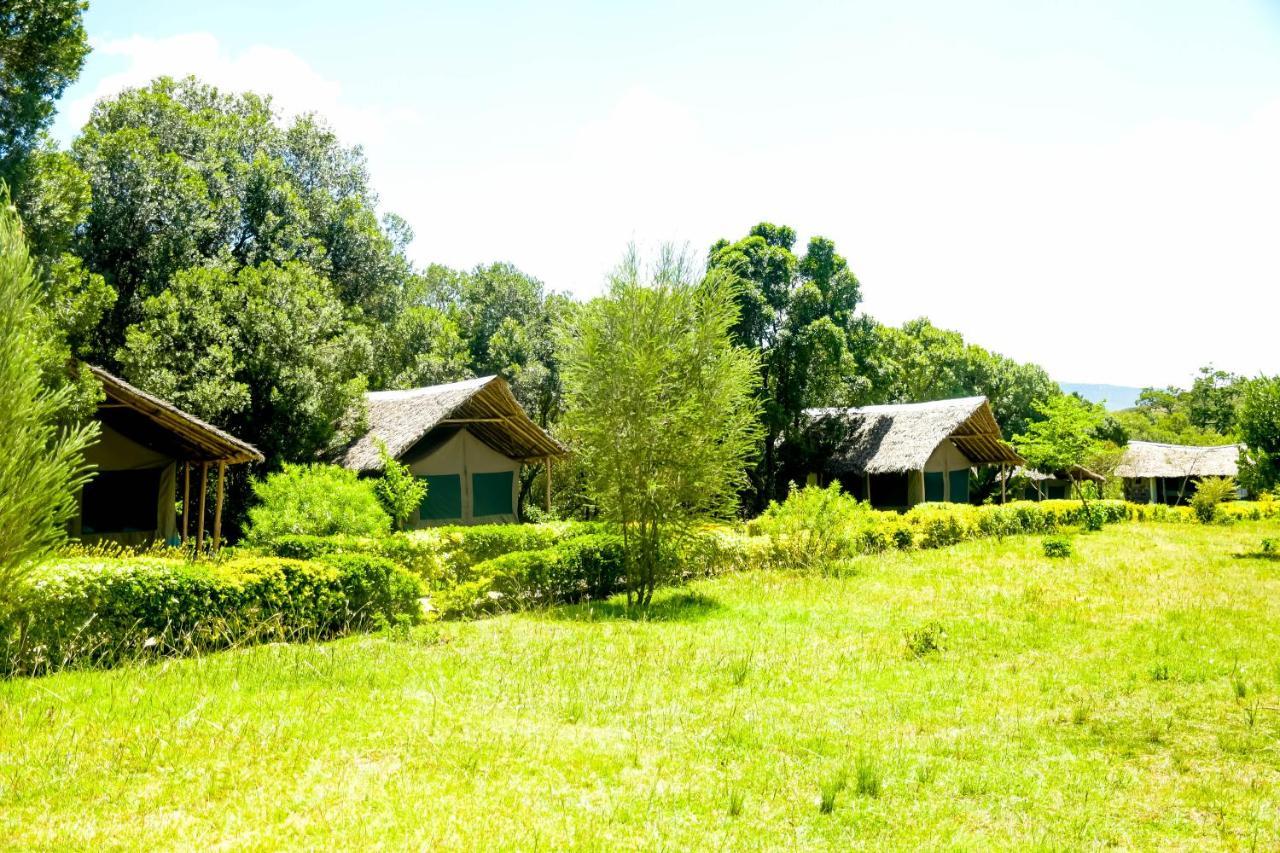 Hotel Giraffe Hills Mara Camp à Réserve nationale du Masai Mara Extérieur photo