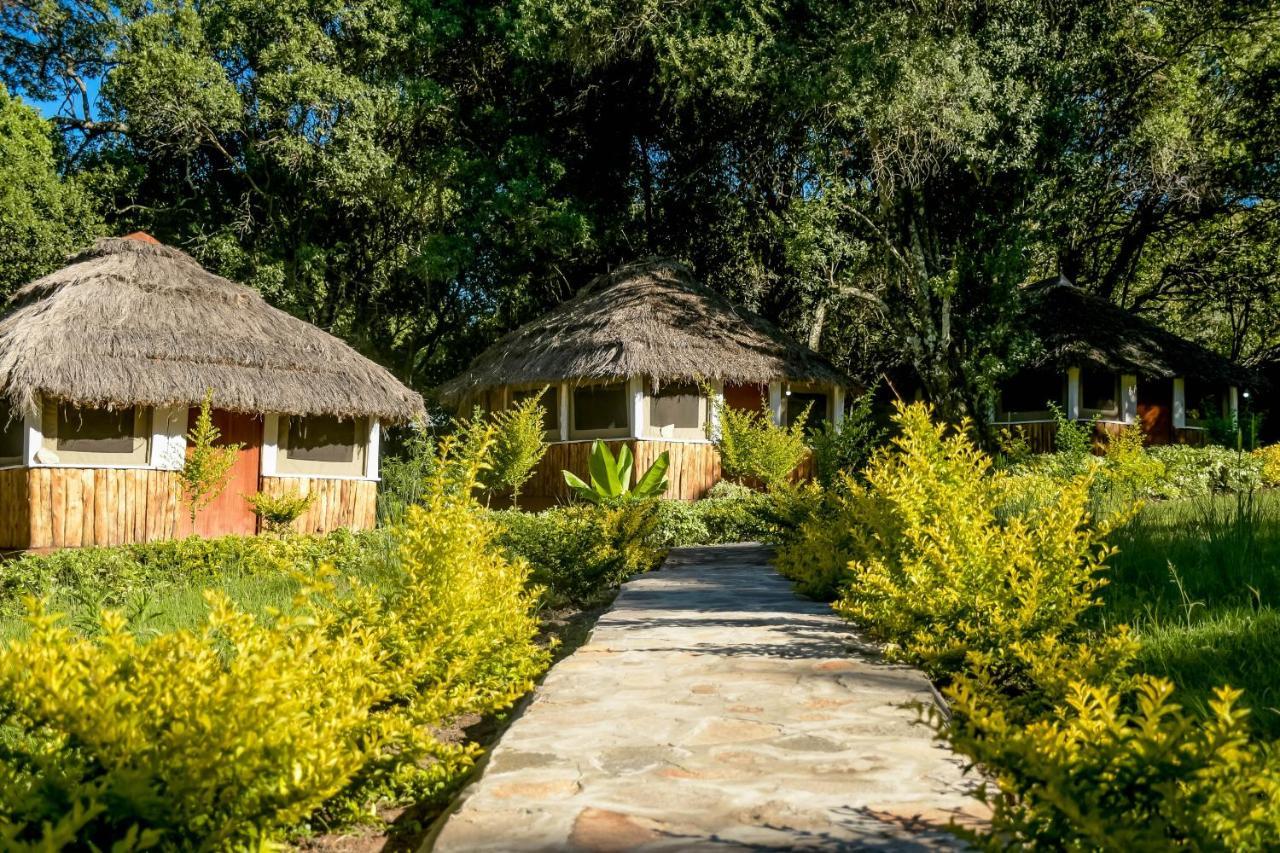 Hotel Giraffe Hills Mara Camp à Réserve nationale du Masai Mara Extérieur photo