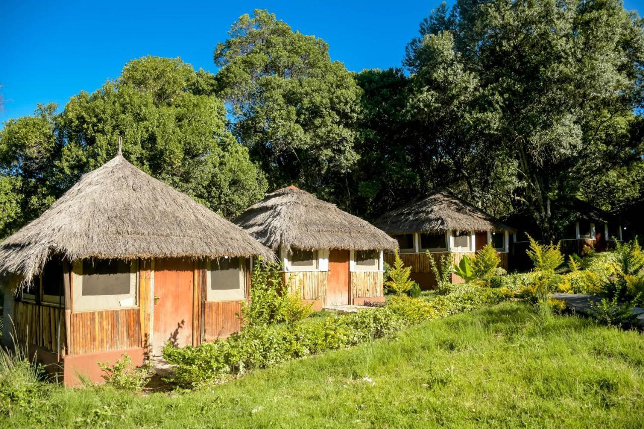 Hotel Giraffe Hills Mara Camp à Réserve nationale du Masai Mara Extérieur photo