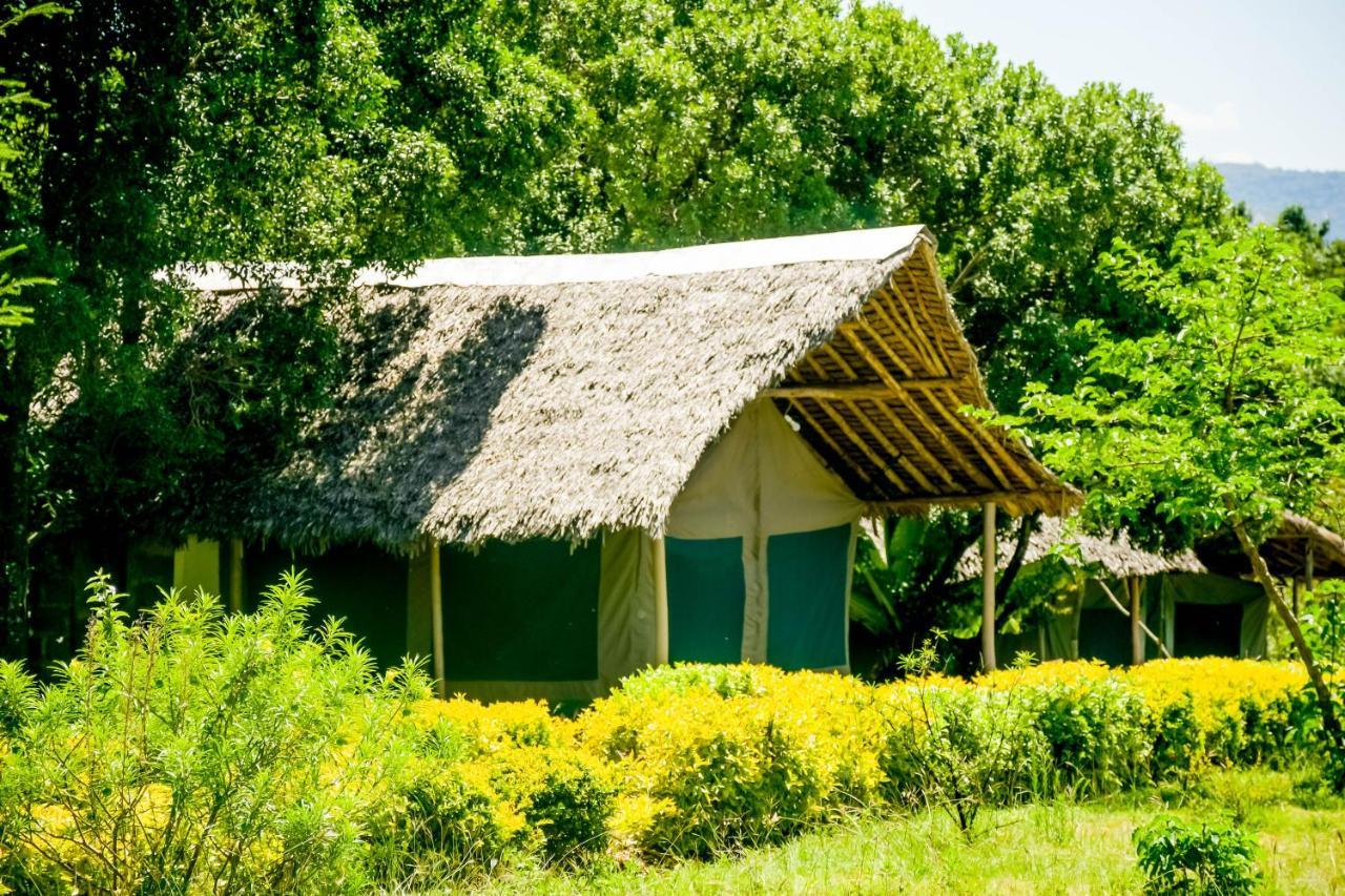 Hotel Giraffe Hills Mara Camp à Réserve nationale du Masai Mara Extérieur photo