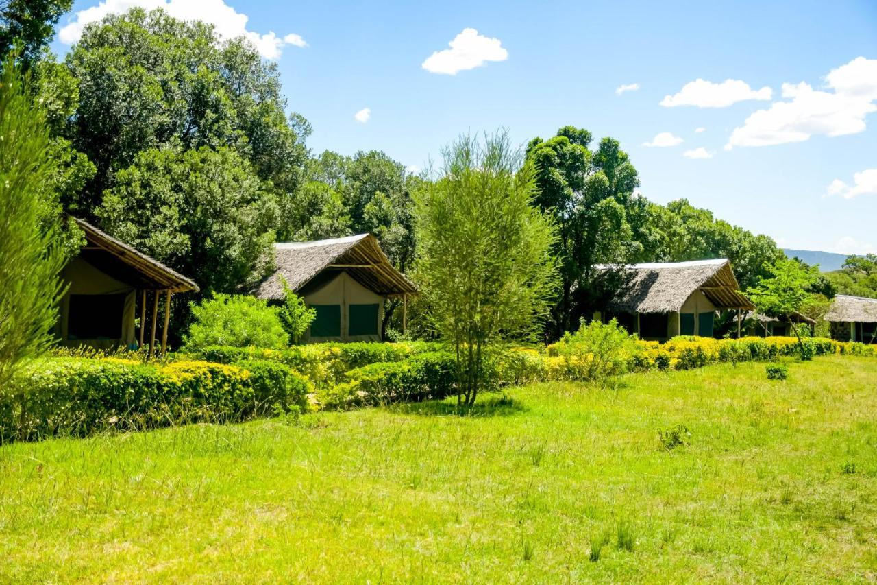 Hotel Giraffe Hills Mara Camp à Réserve nationale du Masai Mara Extérieur photo